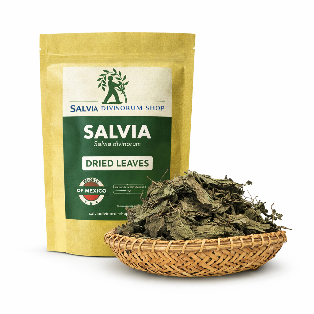 salvia divinorum dried leaves